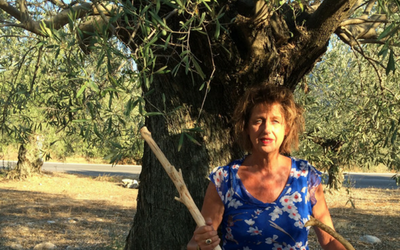 Van tak tot talking stick